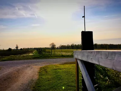400 de radare fixe vor fi montate pe mai multe străzi din România. Amenzile se trimit prin curier Foto: Freepik (fotografie cu caracter ilustrativ)