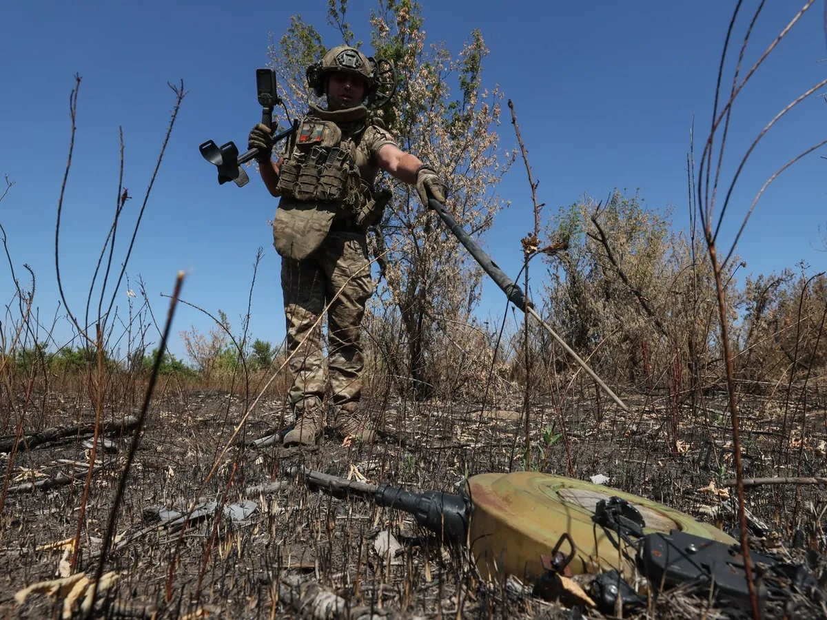 Soldier detecting a landmine Foto: profimediaimages.ro