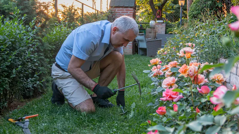 400 lei în plus la pensie din luna mai. Care pensionarii iau bani în plus săptămâna viitoare? - Foto: Freepik