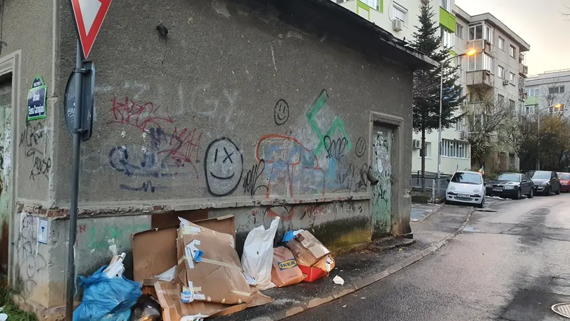Gunoi lăsat pe străzile din Sectorul 1/FOTO: HotNews