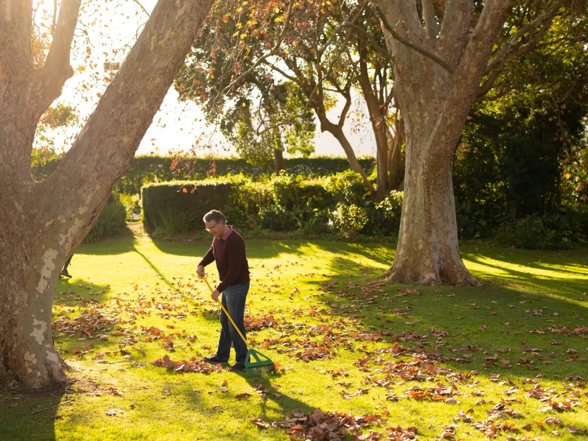 Bărbat care strânge frunzele din grădină - Foto: Freepik (rol ilustrativ)