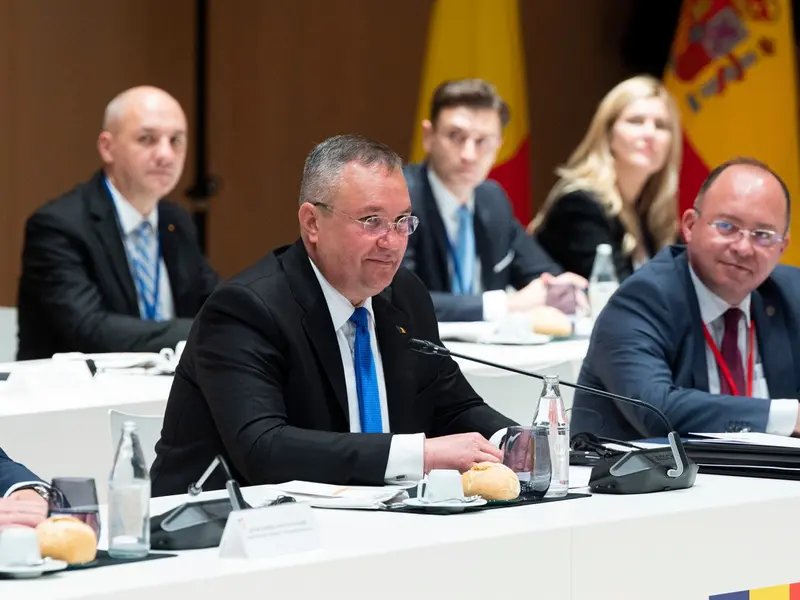 Nicolae Ciucă - Foto: Profimedia