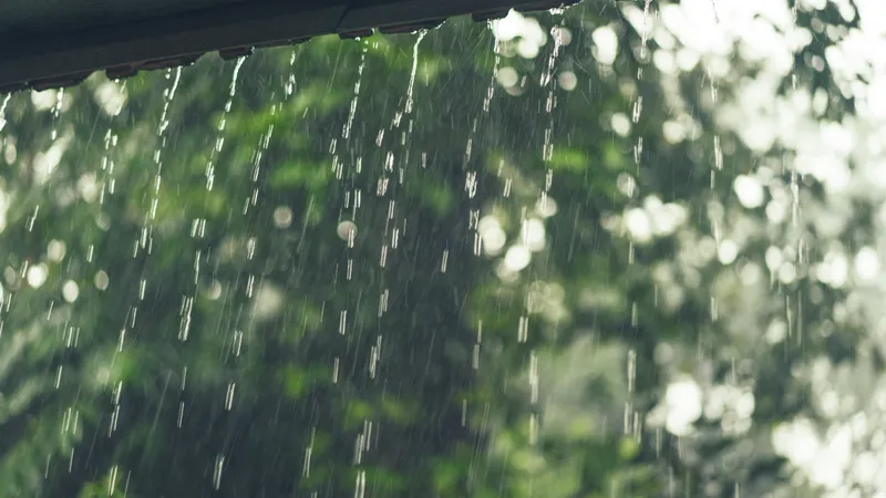METEO Ploile avansează în toate regiunile țării. Ce temperaturi vor fi în ultimele zile din martie Foto: Freepik (fotografie cu caracter ilsutrativ)