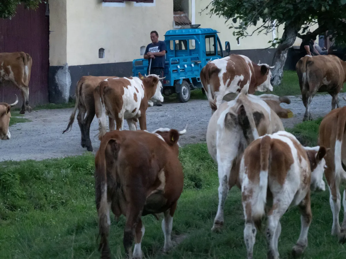 HARTA Ce județe ar putea dispărea în cazul regionalizării României? Un proiect vechi de 13 ani reîmparte țara