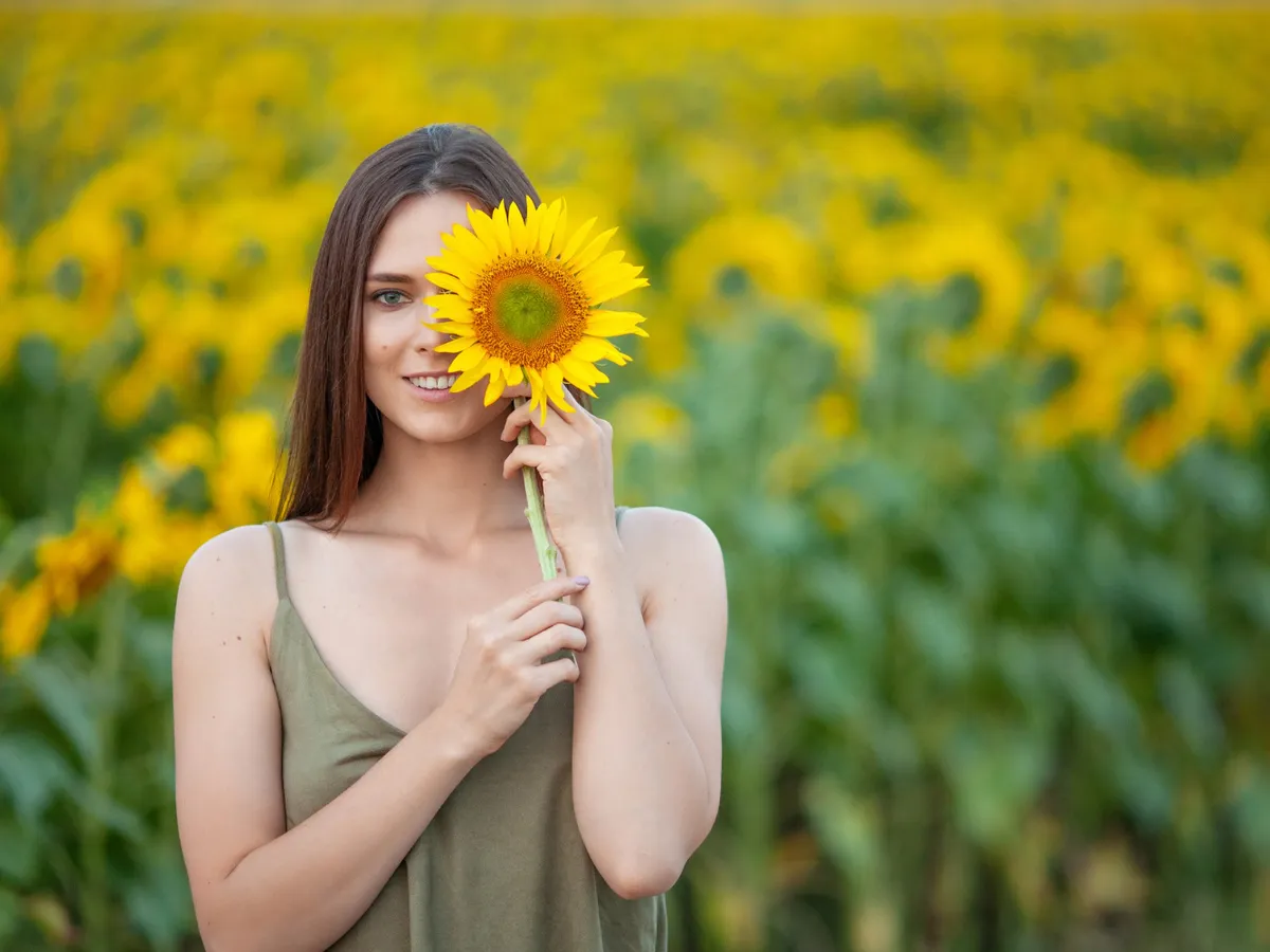 Motivul pentru care nu trebuie să plantezi floarea-soarelui în curtea ta sau lângă ea. Poate afecta culturile?