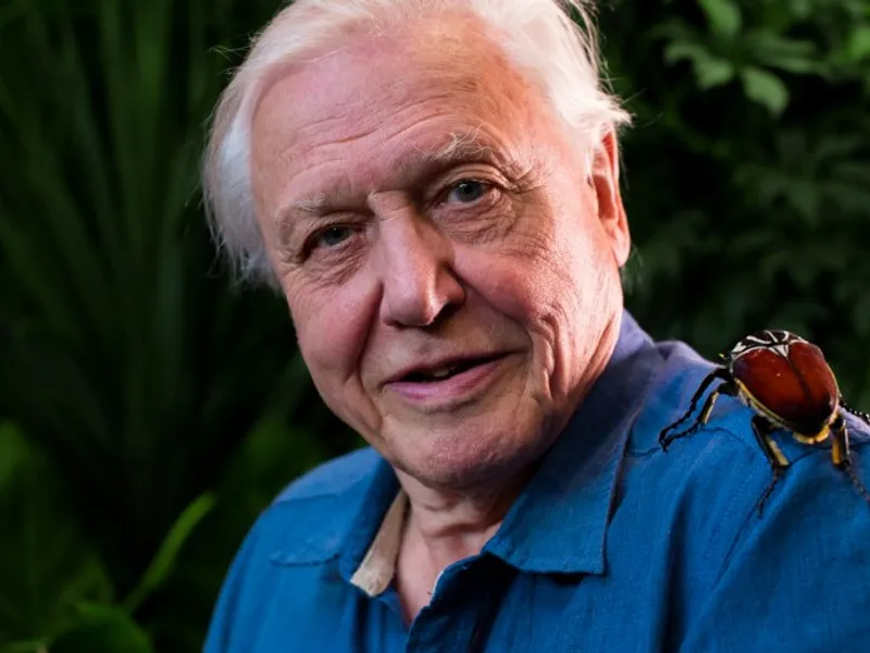 David Attenborough/FOTO: BBC