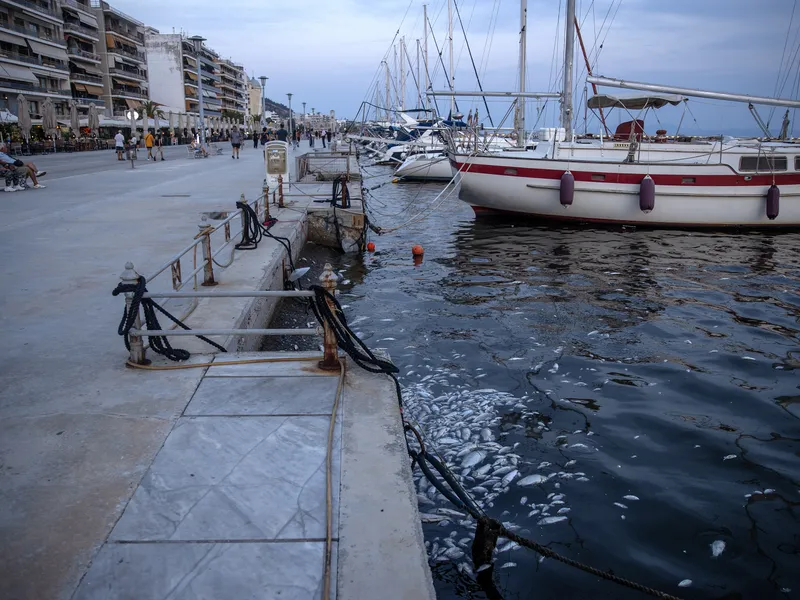 Stare de urgenţă într-o destinație turistică iubită de români. Tone de peşti morţi în portul Volos  - Foto: profimedia Images