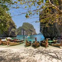 Groază într-o vacanță în Thailanda: o turistă a fost salvată de la moarte cu o sticlă de oțet  Foto: Pexels (fotografie cu caracter ilustrativ)