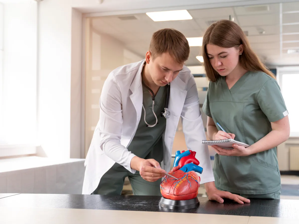 Studenți studiază inima - Foto: Freepik (rol ilustrativ)