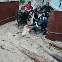 Potop, după o ploaie torențială de jumătate de oră. Mașini luate de ape pe străzi - Foto Arhivă / imagine cu caracter ilustrativ
