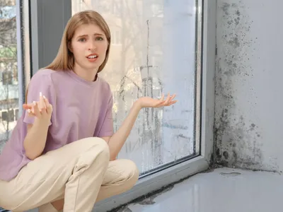 Umiditate și igrasie în locuință - Foto: Profimedia images