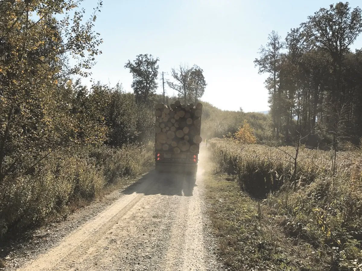 Șoferul încarcă singur camionul, îl fotografiază și trimite datele și coordonatele GSP printr-o aplicație