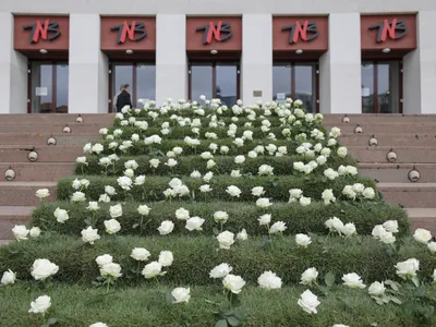 Teatrul Național București Foto: INQUAM Photos