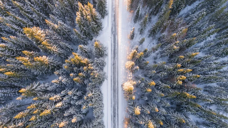 VREMEA Când se încălzește vremea în România? Unii visează deja la primăvară dar mai au de așteptat Foto: Pexels (fotografie cu caracter ilustrativ)