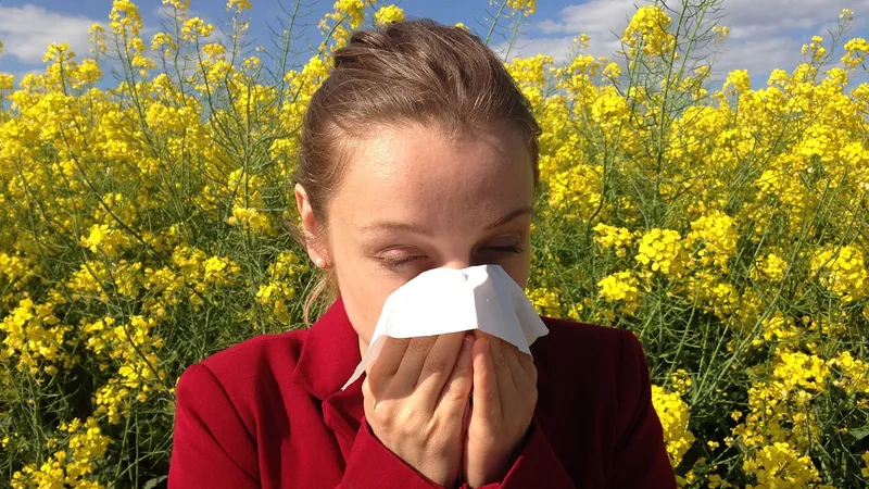 Alergia de primăvară a început mai devreme Foto: Pixabay.com - rol ilustrativ