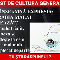 Test de cultură generală Foto: Newsweek