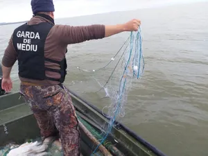 Plasele de pescuit au fost confiscate de către comisarii gărzii. FOTO: Facebook