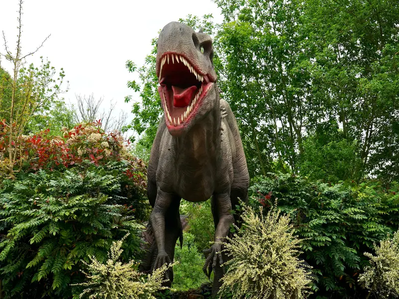 Rușii supărați că doar în SUA se găsesc urme de dinozauri - Foto: Pexels / Mike B