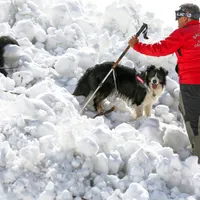 Atenție pe unde mergeți pe munte! Salvamontiștii au salvat 60 de persoane în 24h - Foto: Facebook/Salvamont Romania