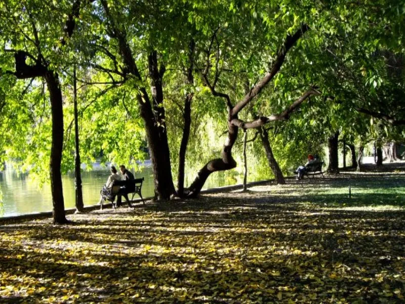 Lucrătorii Primăriei curăță Cișmigiul, după ce l-au lăsat în paragină. FOTO: Facebook