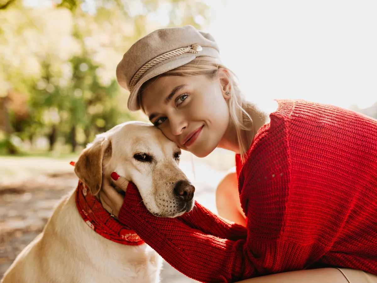 Parlamentul European impune microciparea câinilor și pisicilor și reguli stricte împotriva abuzurilor