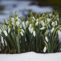 METEO Sunt așteptate temperaturi de 20 de grade în martie. În ce orașe vor fi înregistrate valorile Foto: Freepik (fotografie cu caracter ilustrativ)