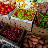 Alimente la aprozar (imagine cu caracter ilustrativ) – foto: Pexels / Mark Stebnicki