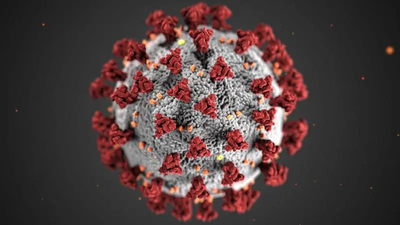 Coronavirus/FOTO: hotnews.ro