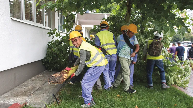 Mai mulți muncitori vietnamezi  care lucrau la anveloparea unui bloc, au participat și la înlăturarea unui  copac doborât de furtună în București - Foto: INQUAM PHOTOS/ Octav Ganea