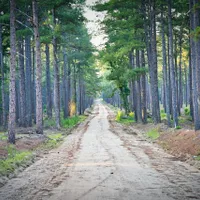 Cîţu În România nu mai trebuie să avem, în secolul 21, drumuri de pământ/FOTO: Unsplash