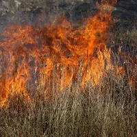Fumul toxic degajat de la incendiile de vegetație se răspândesc în Siberia/FOTO: Pixabay