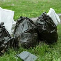 Un bărbat din Ţara Galilor vrea să cumpere o groapă de gunoi. 720 milioane de euro aruncate Foto: Freepik (fotografie cu caracter ilustrativ)