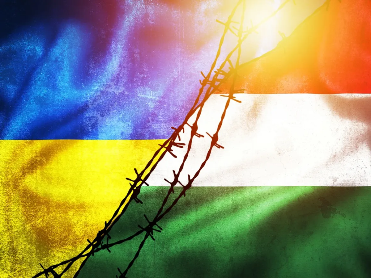 Ucraina vs. Ungaria - Foto: Profimedia