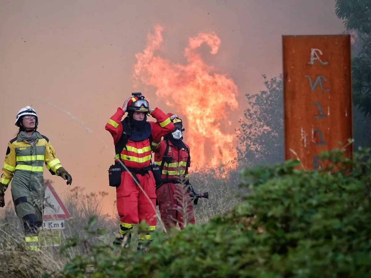 Peste 10.000 km pătrați, devastați de incendii în UE, anul acesta - Foto: Profimedia Images