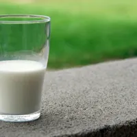 Termenii "lapte", "brânză" sau "iaurt" vor putea fi folosiți doar pe etichetele cu lactate Foto: Pexels (fotografie cu caracter ilustrativ)