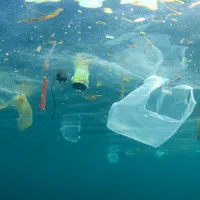 Raport WWF: 90% dintre râurile europene vor fi insalubre până în 2027. / Foto: europenowjournal.org