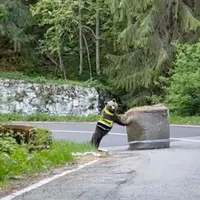 Ursul a fost admirat de fanii automobilismului/Captură video Facebook