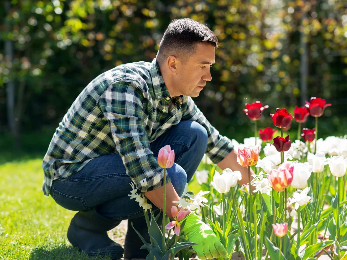 Bărbat care îngrijește niște flori - Foto: Freepik (Imagine cu rol ilustrativ)
