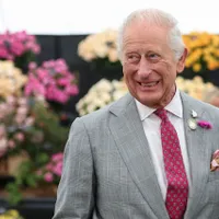 Reședința Regelui Charles al III-lea, invadată de insecte - Foto: Profimedia Images (cu rol ilustrativ)