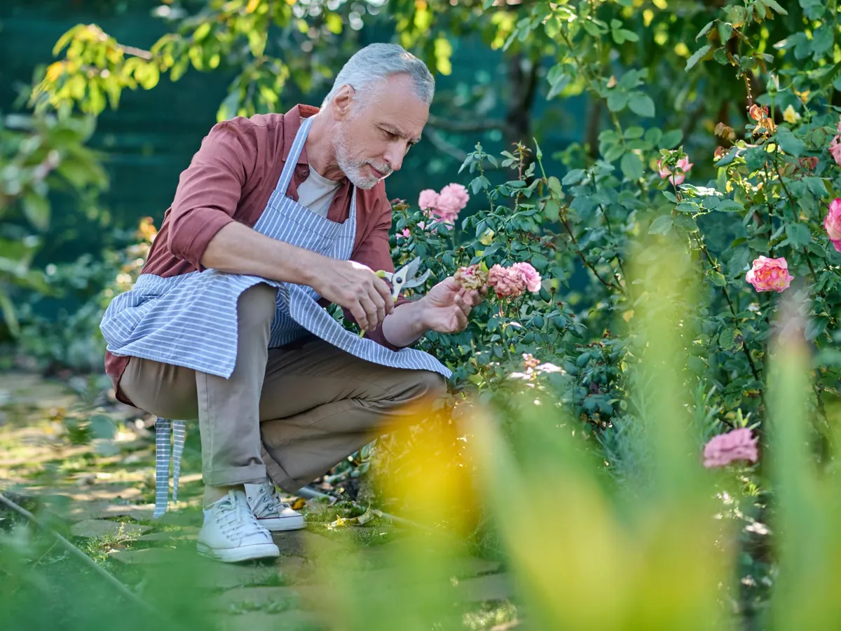 400 lei în plus la pensie din luna mai. Care pensionarii iau bani în plus săptămâna viitoare?  - Foto: Freepik
