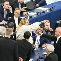 Ce sancțiuni riscă Diana Șoșoacă după scandalul uriaș din plenul Parlamentului European - Foto: Profimedia(imagine cu rol ilustrativ)
