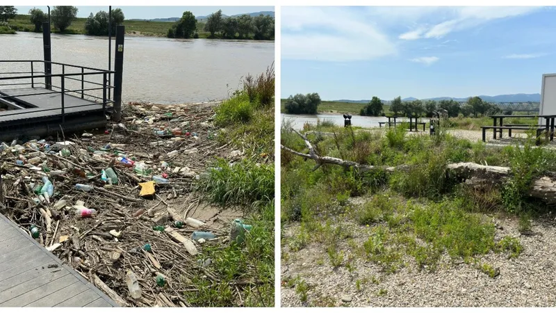 Pontonul de pe râul Mureș în care Primăria Alba Iulia a investit peste 80.000 de euro e plin de gunoaie și bălării - Foto: AlbaPress