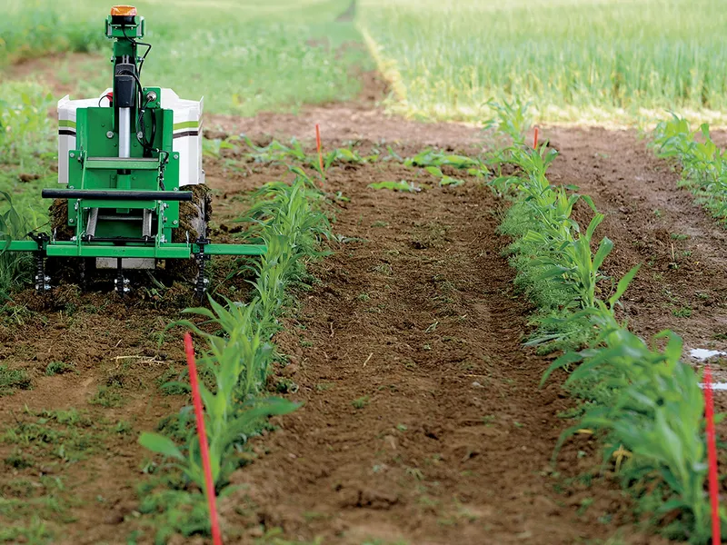 FARMBOTS Mașinile cu AI se ocupă deja de culturi. Stânga: Un robot smulge buruienile în timpul unei demonstrații a noilor tehnologii din Franța