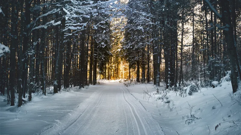 VREMEA După aerul polar cu ger și îngheț, temperaturile cresc peste noapte. La ce să ne așteptăm Foto: Pexels (fotografie cu caracter ilsutrativ)