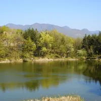Descoperirea făcută de un român în timp ce se plimba prin pădure. A sunat imediat 112 - Foto: Arhiva