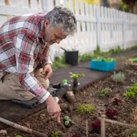 Un bărbat în vârstă se bucură de grădinărit plantând răsaduri în curtea sa - Foto: Pexesls (Imagine cu rol ilustrativ)