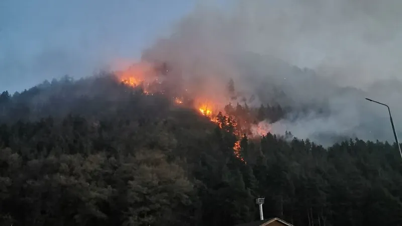 Incendiu este pe fondul forestier al comunei Oituz. FOTO: ISU Bacău