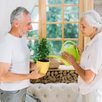 Nucile din casă, singurul aliment care te ajută să slăbești rapid și sigur. Scad colesterolul rău - Foto: Profimedia Images (imagine cu rol ilustrativ)