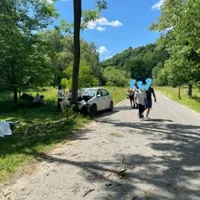 Un șofer de 53 de ani s-a înfipt cu mașina într-un copac pe drum drept. A murit pe loc. / Foto: Info Trafic 24, Facebook