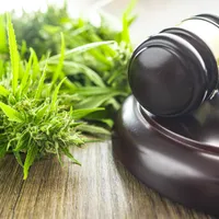 Cine sunt salariații români care vor fi obligați să se testeze antidrog. N-au voie nici cu alcool - Foto: Profimedia Images/ Imagine cu caracter ilustrativ